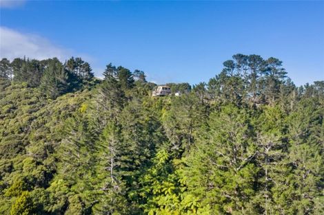 Photo of property in 156 Lone Kauri Road, Karekare, New Lynn, 0772