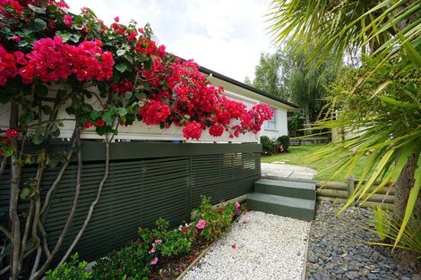 Photo of property in 77 Bremworth Avenue, Dinsdale, Hamilton, 3204