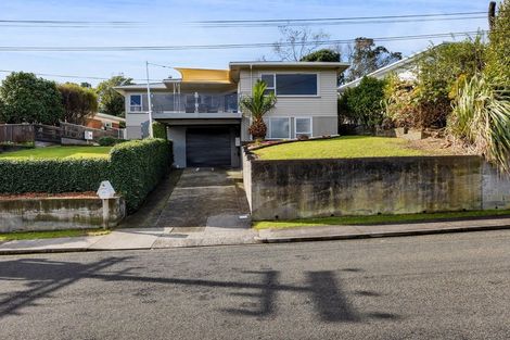 Photo of property in 40 Essex Street, Vogeltown, New Plymouth, 4310