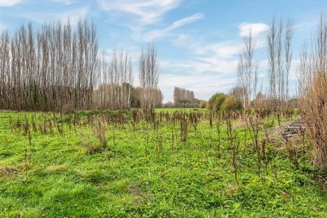 Photo of property in 68 Walters Road, Marshland, Christchurch, 8051