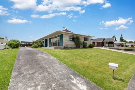Photo of property in 102a Moorhouse Street, Morrinsville, 3300