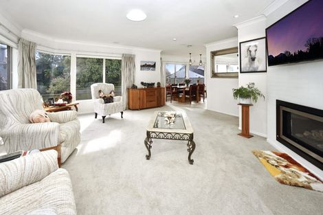 Photo of property in 62a Oxford Street, Te Puke, 3119