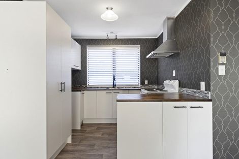 Photo of property in 11a Ridout Street, Maeroa, Hamilton, 3200