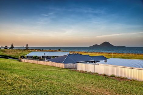 Photo of property in 50 Pacific Parade, Coastlands, Whakatane, 3120
