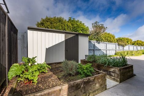 Photo of property in 15b Goble Road, Clarks Beach, Pukekohe, 2679