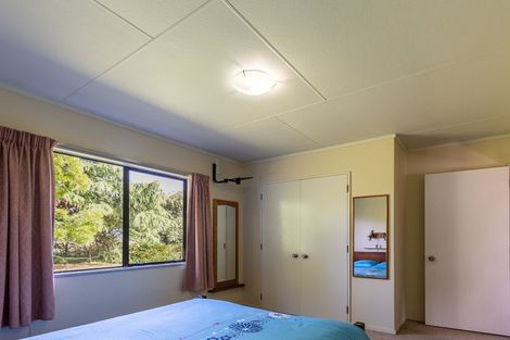 Photo of property in 218 Hokio Beach Road, Levin, 5571