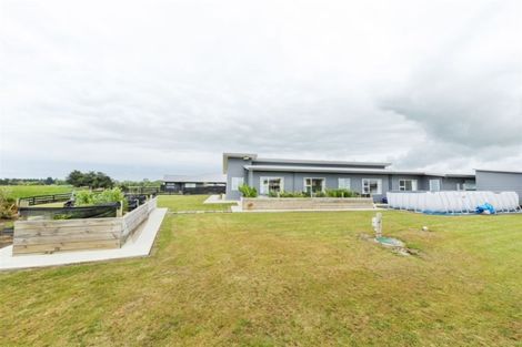 Photo of property in 51b Wapiti Avenue, Feilding, 4775