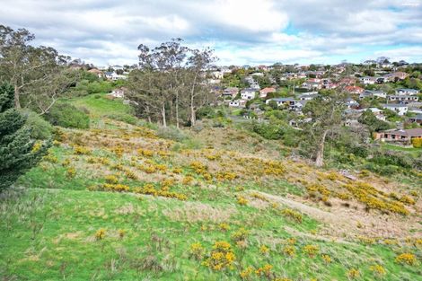Photo of property in 18a Barr Street, Kenmure, Dunedin, 9011