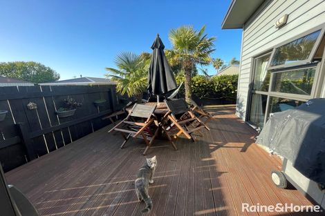 Photo of property in 31b Farm Street, Mount Maunganui, 3116