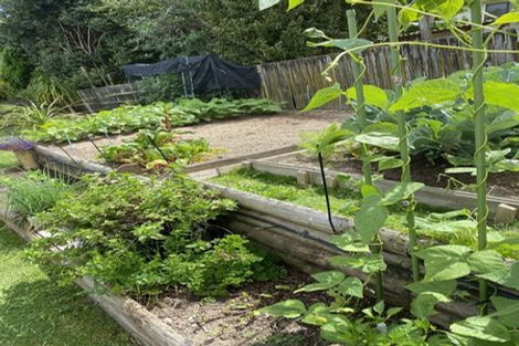 Photo of property in 35 Yorke Road, Haruru, 0204