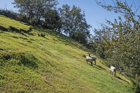 Photo of property in 62f Poplar Grove, Whalers Gate, New Plymouth, 4310