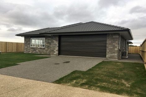 Photo of property in 60 Hastings Road, Pyes Pa, Tauranga, 3112