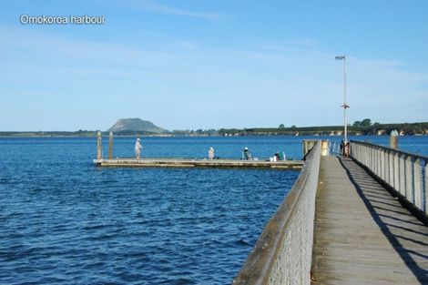 Photo of property in 16 Olive Close, Omokoroa, 3114