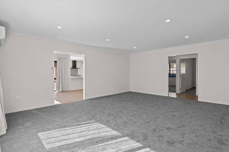 Photo of property in 223 Redwood Street, Witherlea, Blenheim, 7201