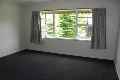 Photo of property in 41 Kowhai Street, Hamilton Lake, Hamilton, 3204