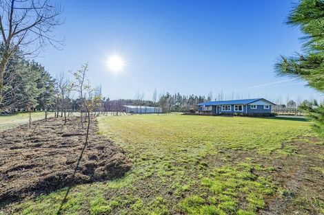 Photo of property in 174 Karanga Road, Dunsandel, Leeston, 7682