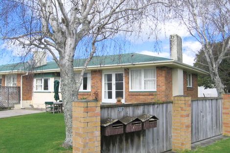 Photo of property in 219 Otumoetai Road, Otumoetai, Tauranga, 3110