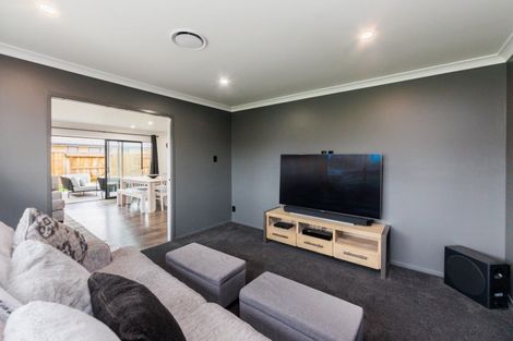 Photo of property in 9 Monarch Drive, Ashhurst, 4810