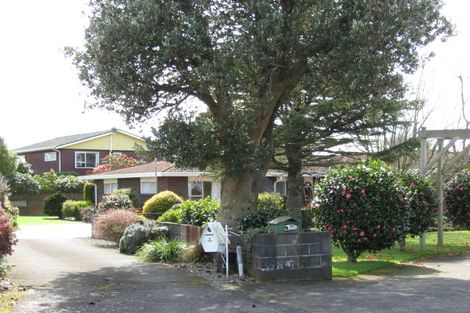 Photo of property in 66 Cressida Avenue, Stratford, 4332