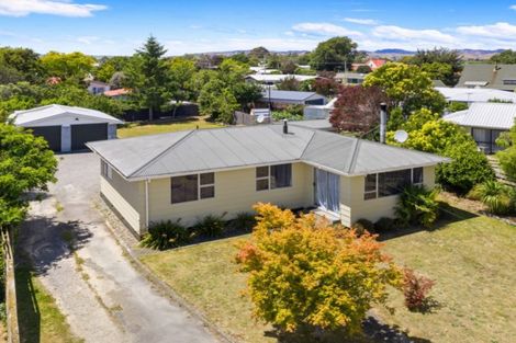 Photo of property in 9 Nicholson Street, Renwick, 7204
