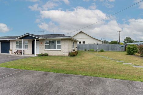 Photo of property in 23a Hobson Street, Feilding, 4702