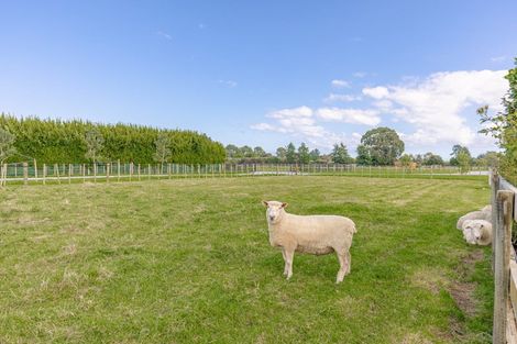 Photo of property in 35 Saint Oswalds Drive, Brunswick, 4571