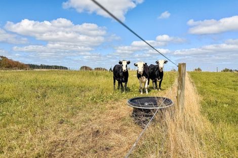 Photo of property in 3125 State Highway 1, Sanson, Palmerston North, 4479