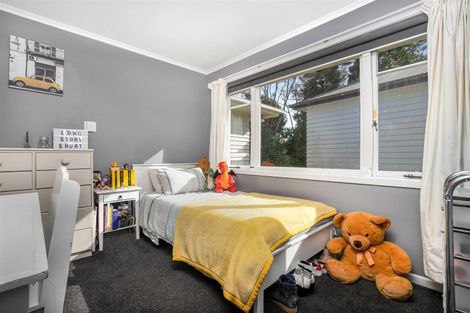 Photo of property in 32 Routley Drive, Glen Eden, Auckland, 0602