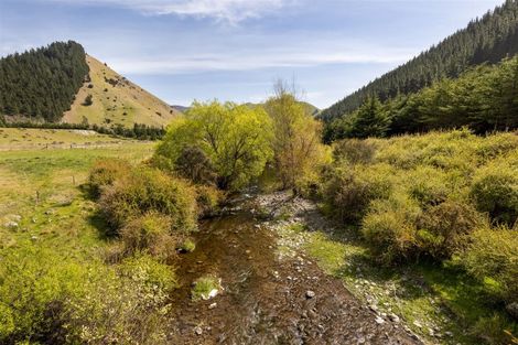 Photo of property in 793 Taylor Pass Road, Taylor Pass, Blenheim, 7274