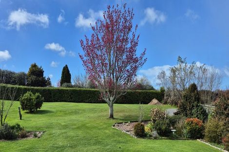 Photo of property in 4 Grenadier Lane, Waihi, 3610
