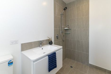 Photo of property in 108a Weraroa Road, Levin, 5510