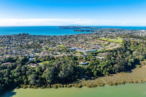 Photo of property in 46 Blue Heron Rise, Stanmore Bay, Whangaparaoa, 0932