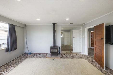 Photo of property in 41 Tweed Street, Roslyn, Palmerston North, 4414