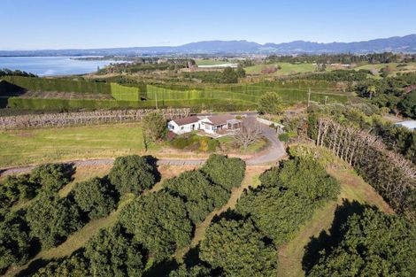 Photo of property in 263 Kauri Point Road, Tahawai, Katikati, 3170
