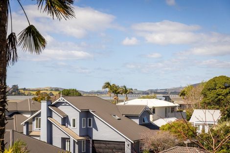 Photo of property in 39a Harvey Street, Tauranga South, Tauranga, 3112