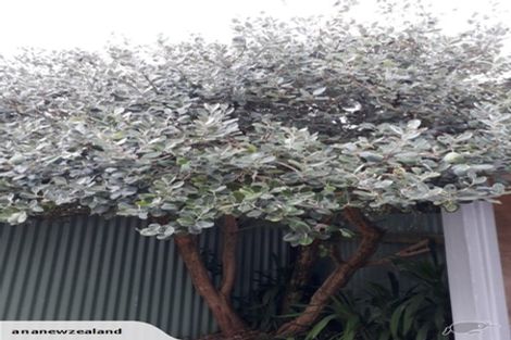 Photo of property in 2/50 Hain Avenue, Mangere East, Auckland, 2024