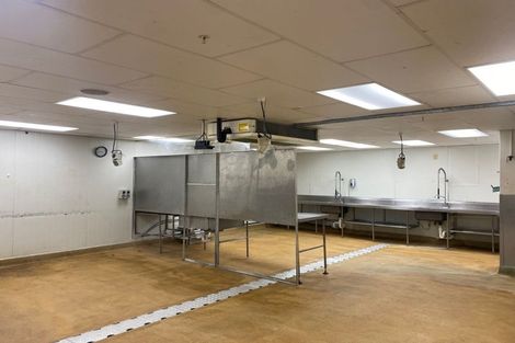 Photo of property in The Lofts & The Hub, 185 Victoria Street, Te Aro, Wellington, 6011