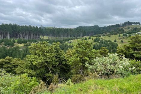 Photo of property in 609a Bickerstaffe Road, Maungaturoto, 0587