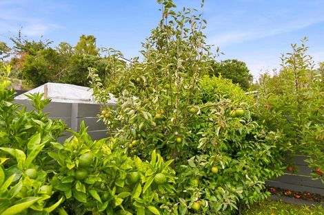 Photo of property in 44 Tui Road, Raumati Beach, Paraparaumu, 5032