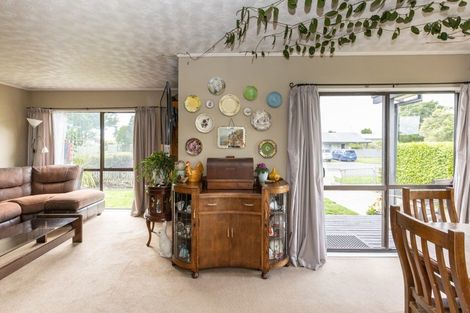 Photo of property in 905 Collinge Road, Mayfair, Hastings, 4122