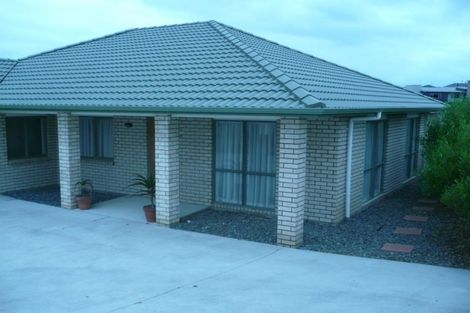 Photo of property in 16 Aufidius Place, Pukekohe, 2120