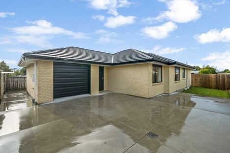 Photo of property in 53 Seddon Street, Takaro, Palmerston North, 4412