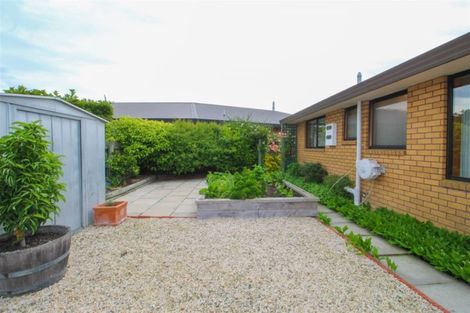 Photo of property in 17a Carlisle Place, Marchwiel, Timaru, 7910