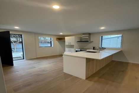 Photo of property in 45a Hillier Place, Spreydon, Christchurch, 8024