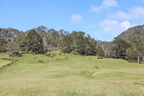 Photo of property in 94 Hahei Beach Road, Hahei, Whitianga, 3591