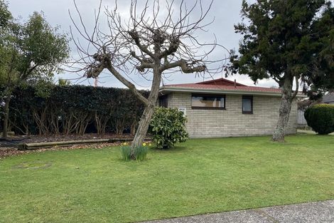 Photo of property in 5 Alexander Street, Katikati, 3129