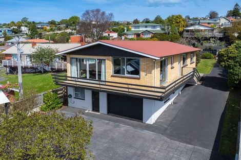 Photo of property in 29 Glen Road, Mornington, Dunedin, 9011