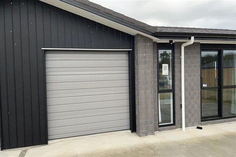 Photo of property in 111 Hinemoa Street, Levin, 5510