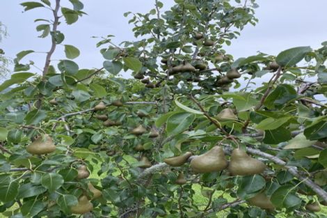 Photo of property in 59a Selwyn Street, Pohara, Takaka, 7183