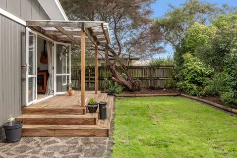 Photo of property in 59c Elizabeth Street, Victoria, Rotorua, 3010